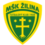 V. Vesely